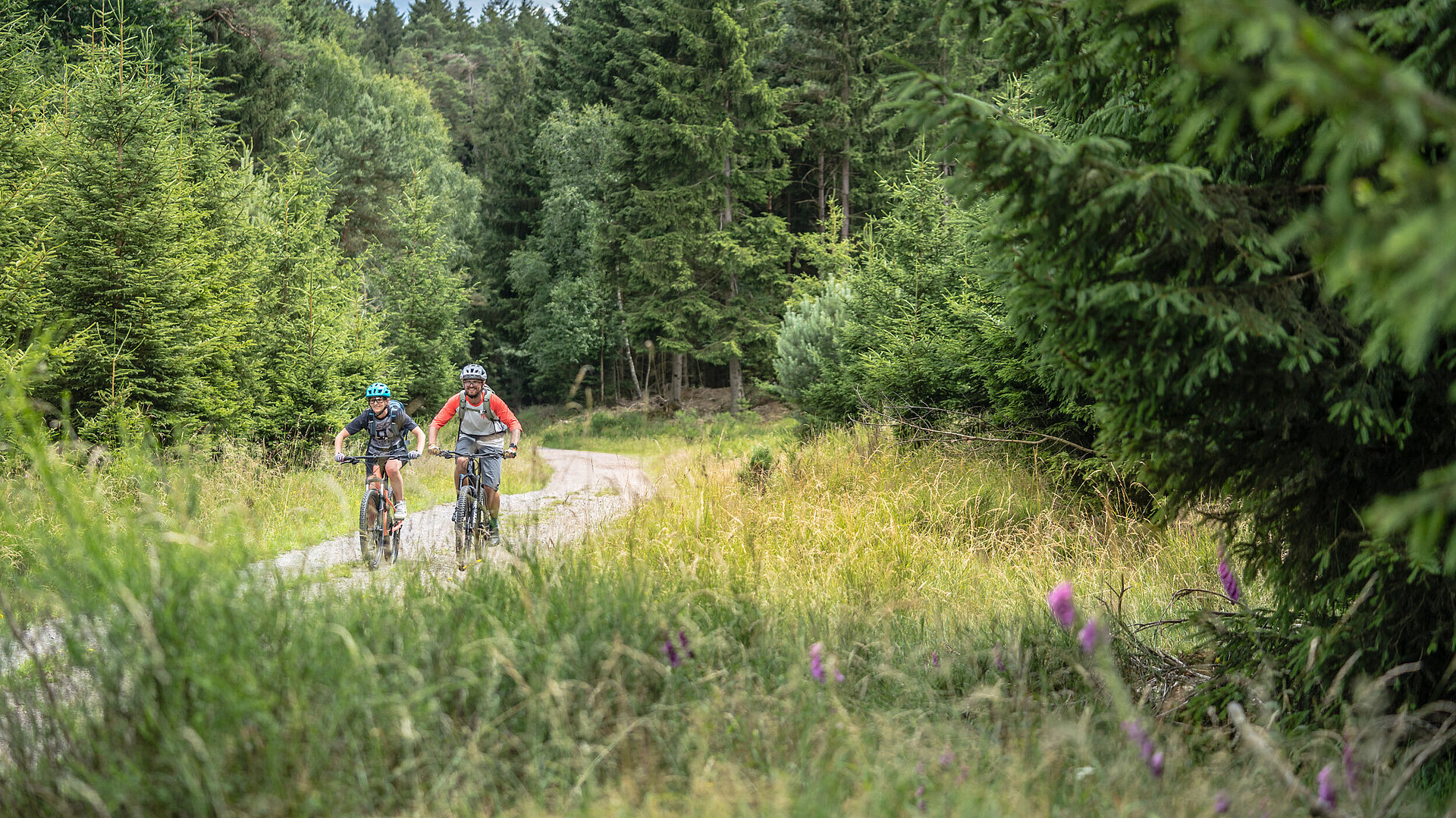 Zwei Radfahrer fahren durch eine Waldpasssage