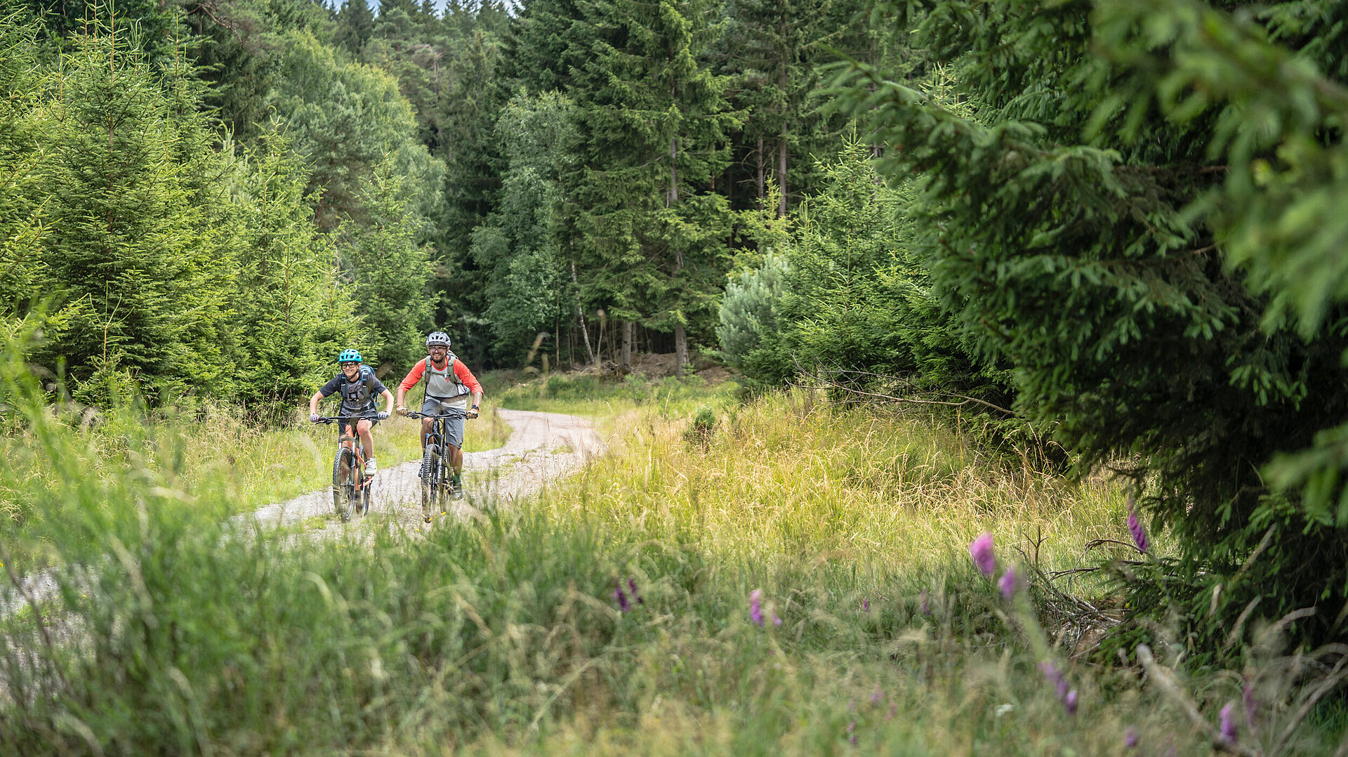 Zwei Radfahrer fahren durch eine Waldpasssage