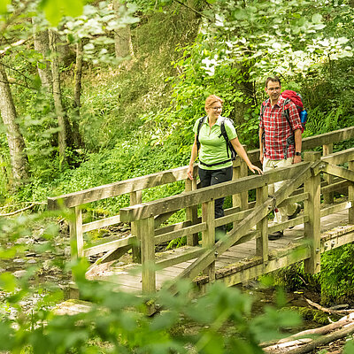 Wandernde überquen eine Brücke im Nationalpark