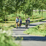 Vier Radfahrer fahren auf einem geteerten Fahrradweg.