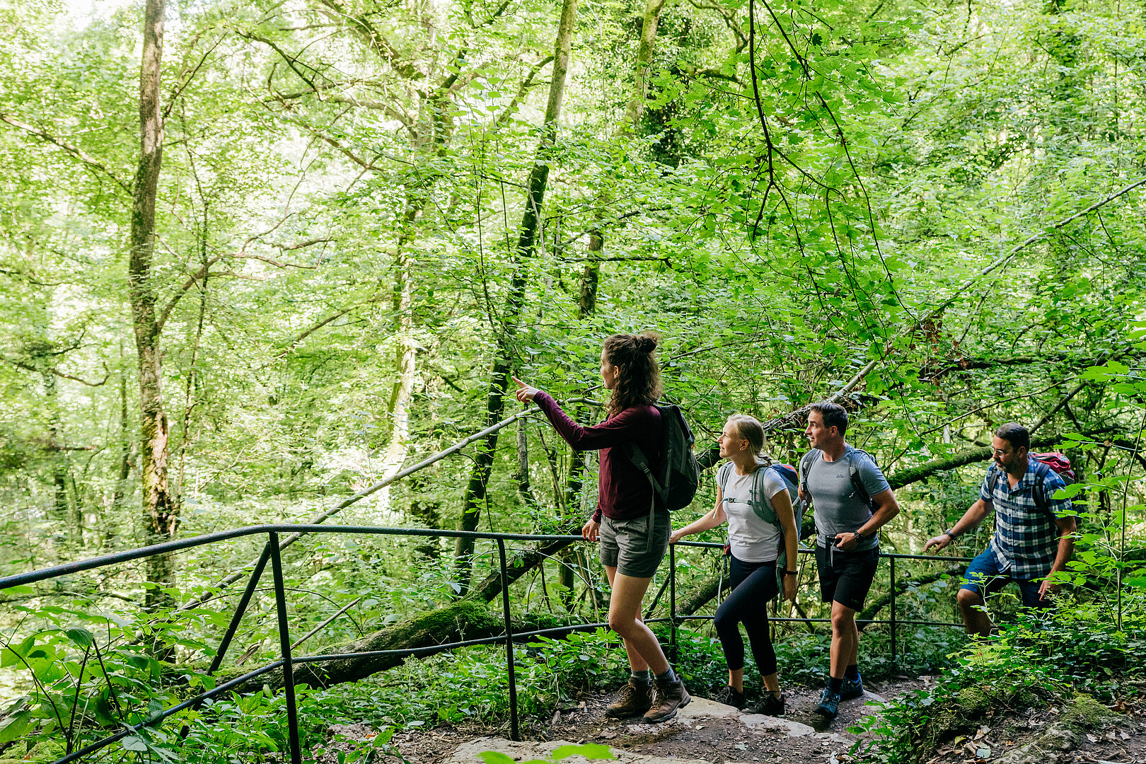 Vier Wanderer wandern auf einem schmalen Pfad durch die Eifel und scheuen in die Ferne.