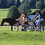 Zwei Radfahrer fahren entlang einer Wiese mit Pferden.