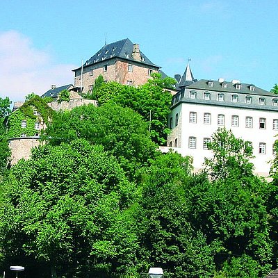 Blick auf die Burg Blankenheim