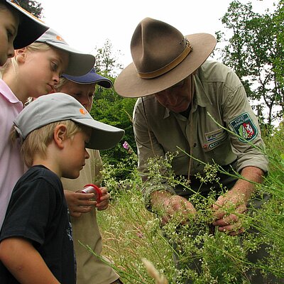 Ein Ranger erklärt Kindern die Flora im Nationalpark Eifel