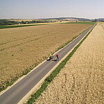 Radfahrer fahren auf einem langgezogenen Radweg inmitten eines Kornfeldes.