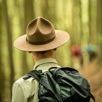 Ranger inmitten des Buchenwaldes im Nationalpark Eifel